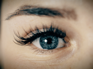 ZIGT: FREEDOM OF MEDIA